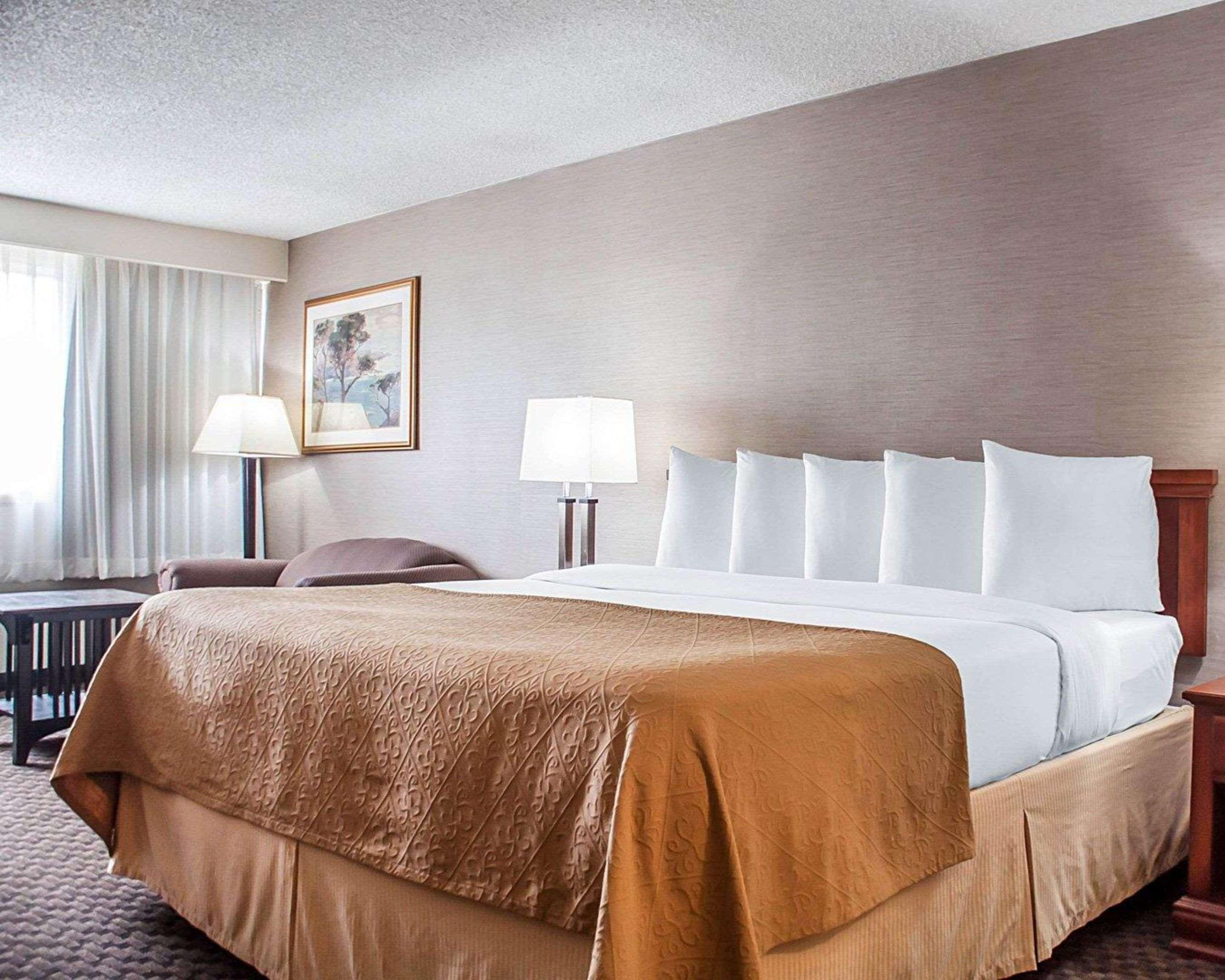 Quality Inn & Suites Vestal Binghamton Near University Eksteriør bilde